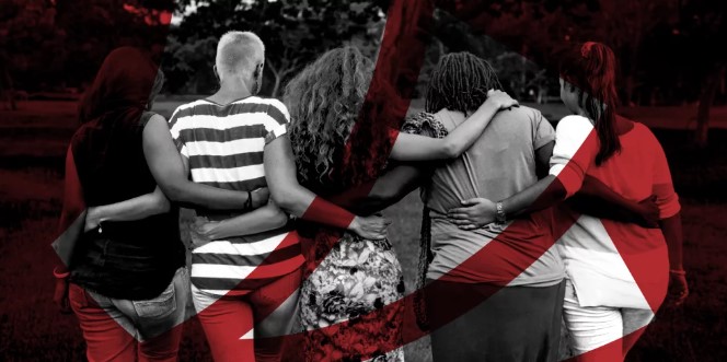 La solidaridad nos construye